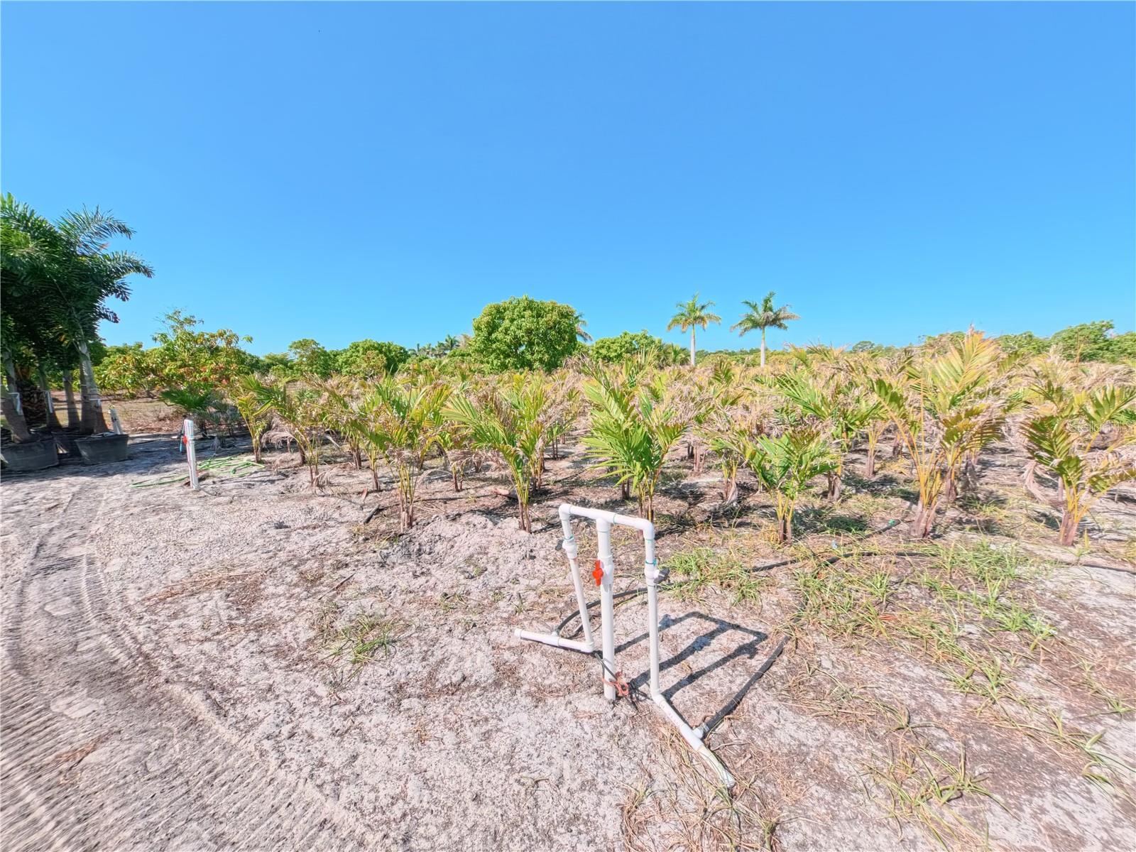 11851 STRINGFELLOW RD, BOKEELIA, FL, 33922