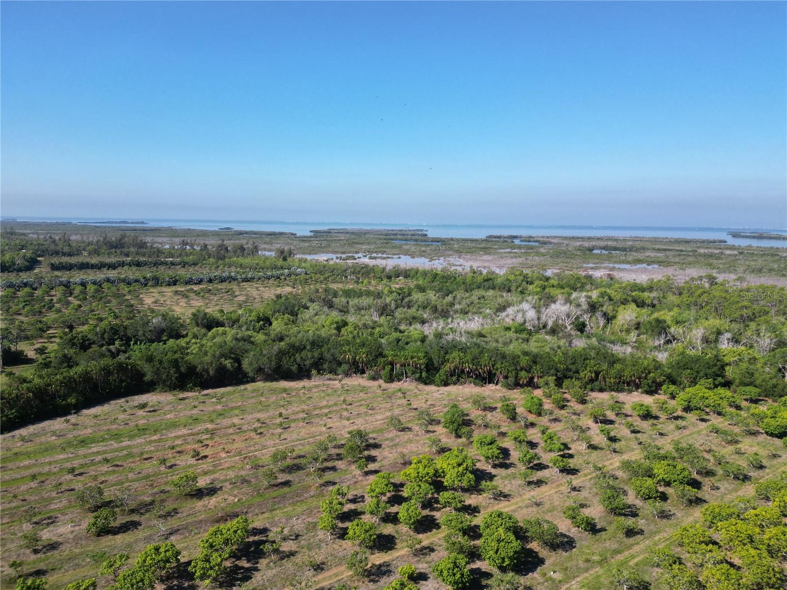 11851 STRINGFELLOW RD, BOKEELIA, FL, 33922
