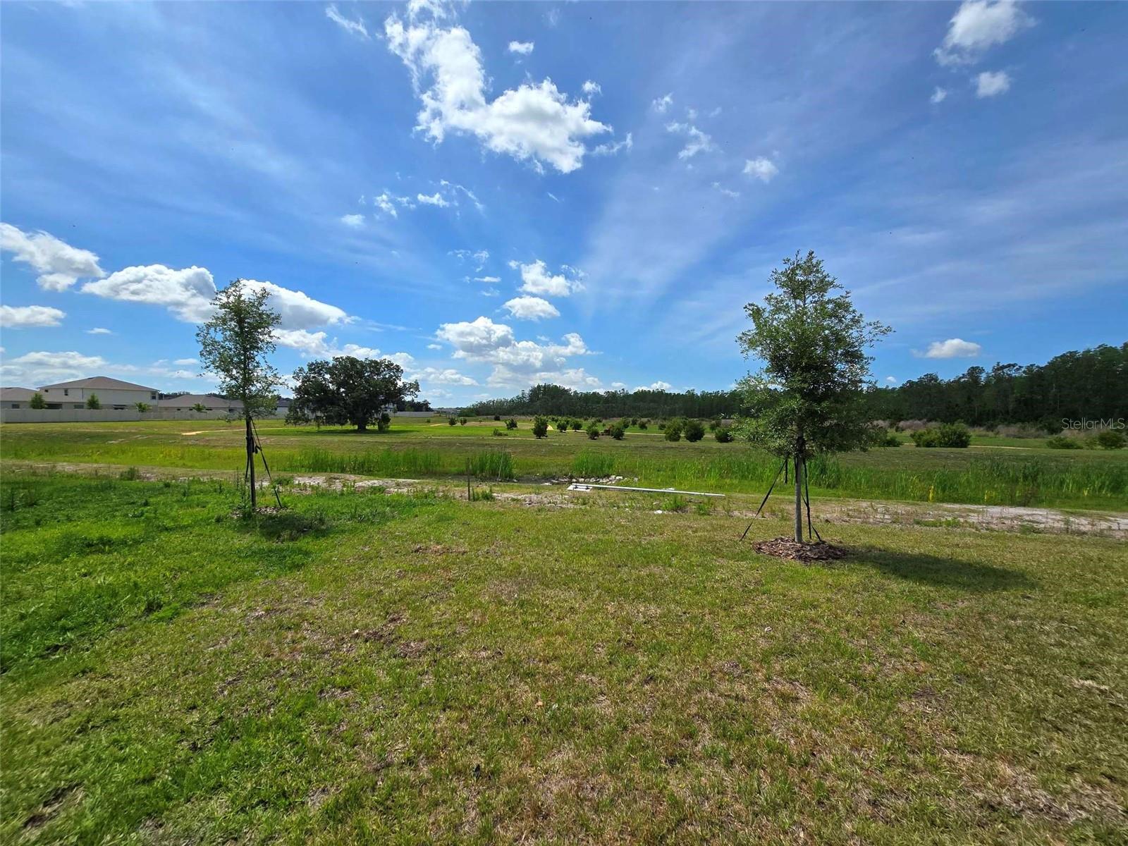 3636 ROLLING RIDGE BND, DAVENPORT, FL, 33837