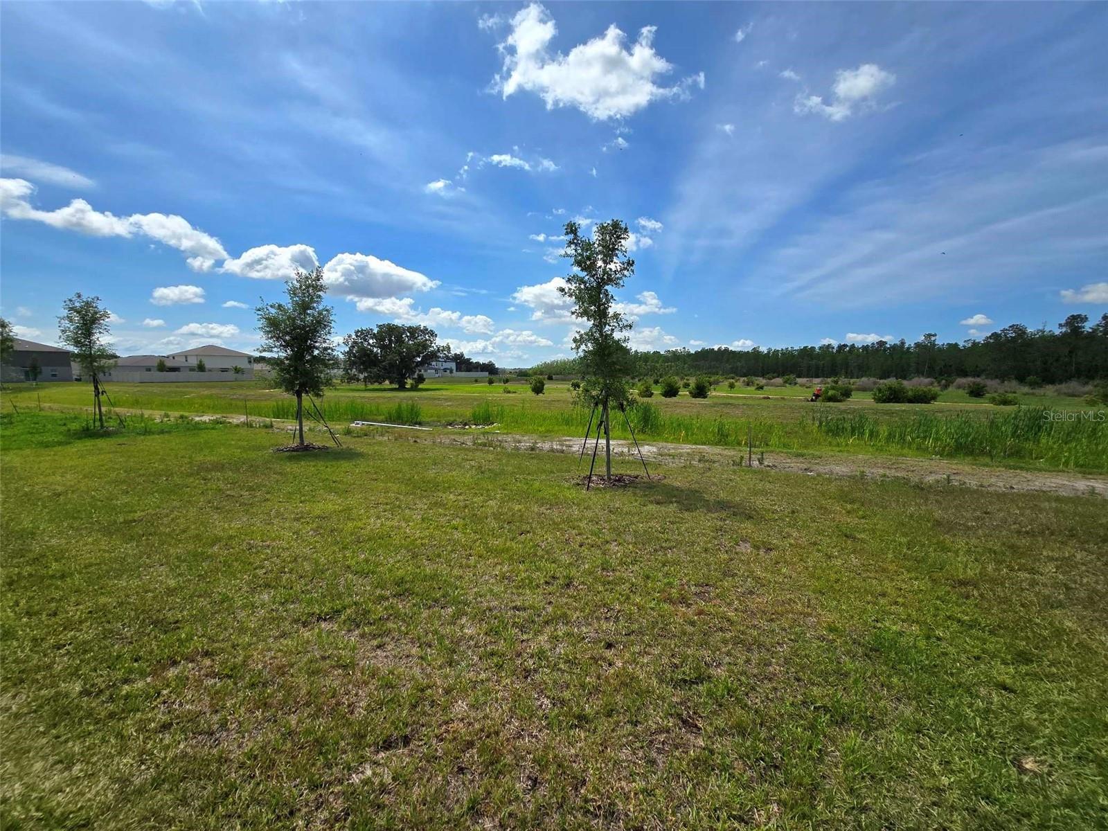 3636 ROLLING RIDGE BND, DAVENPORT, FL, 33837
