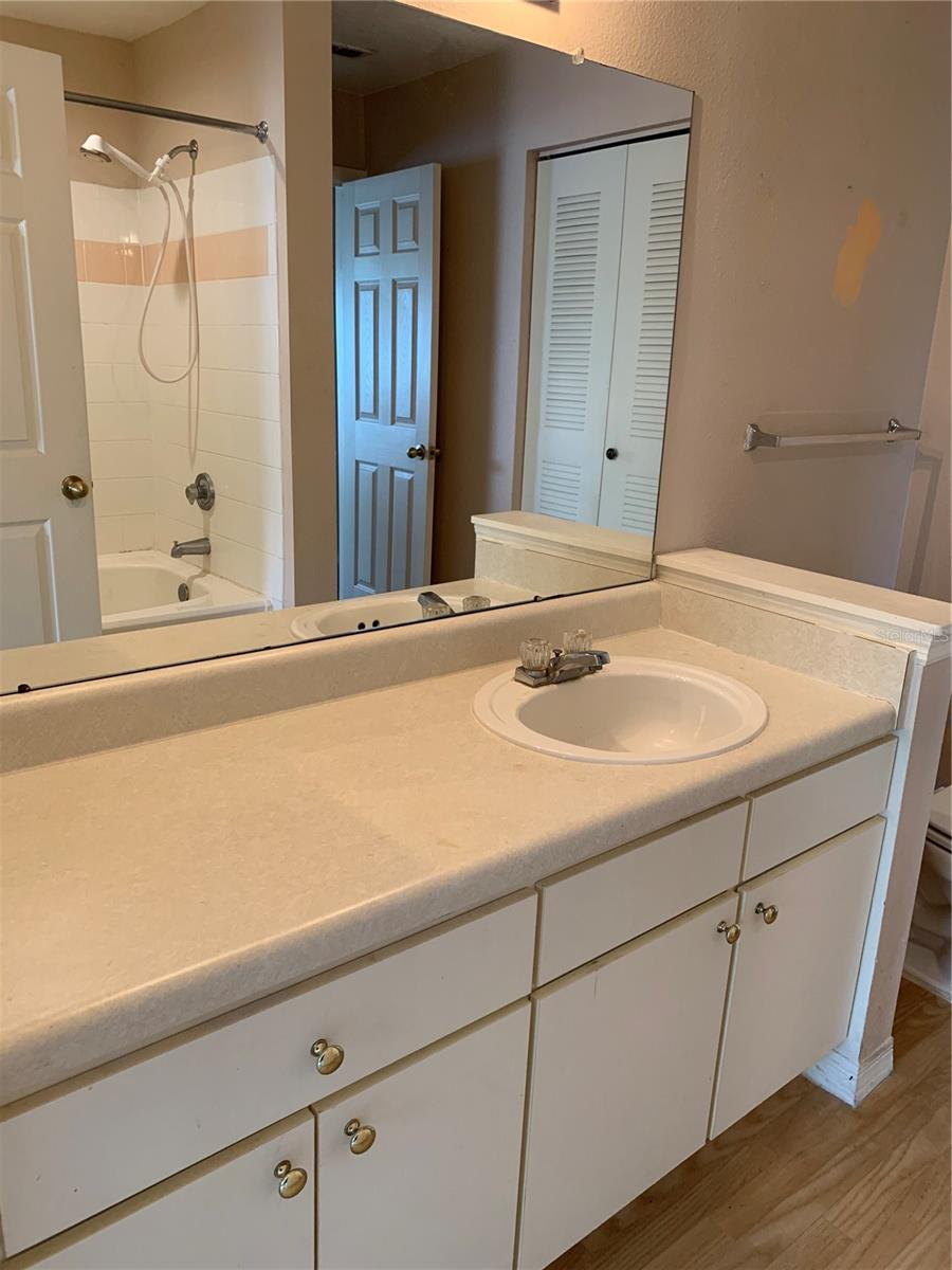 9832 LAKE CHASE ISLAND WAY, TAMPA, FL, 33626