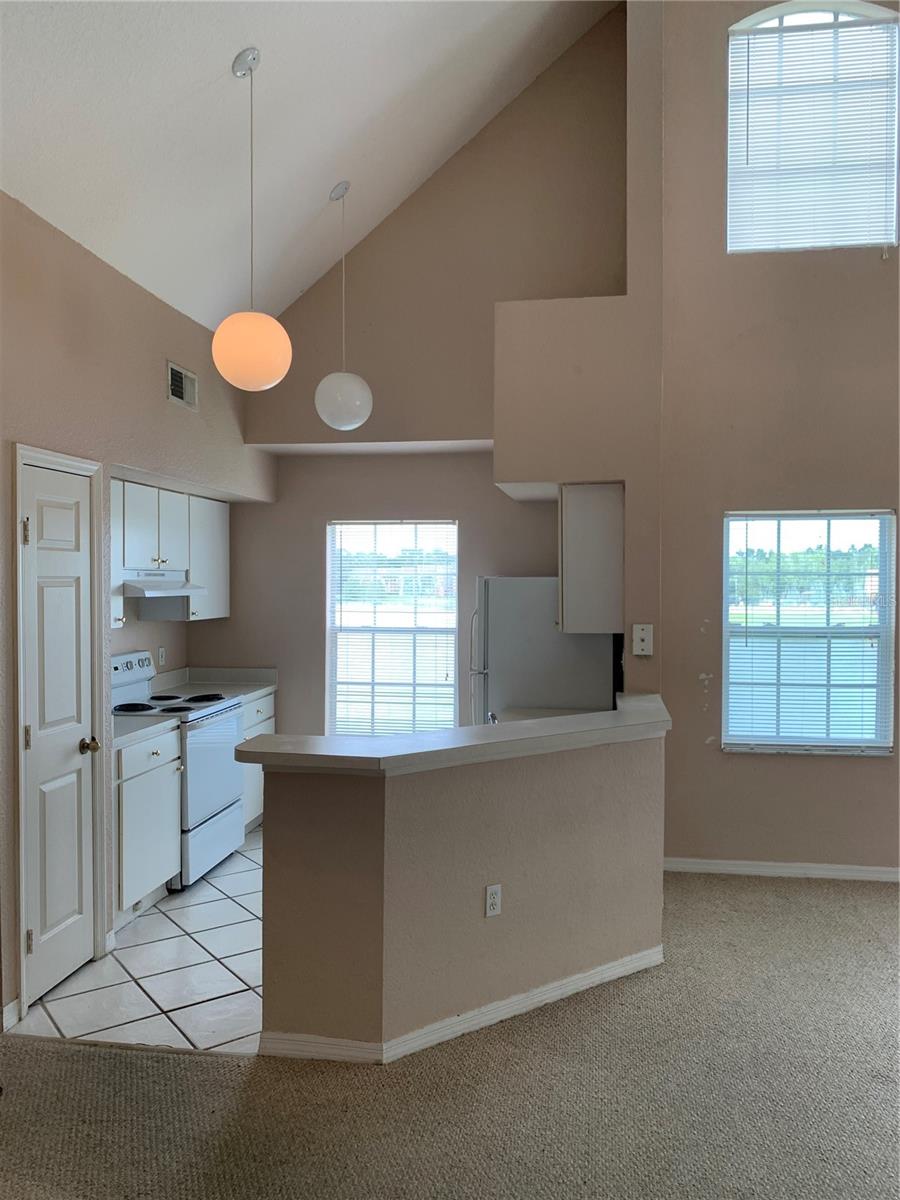 9832 LAKE CHASE ISLAND WAY, TAMPA, FL, 33626