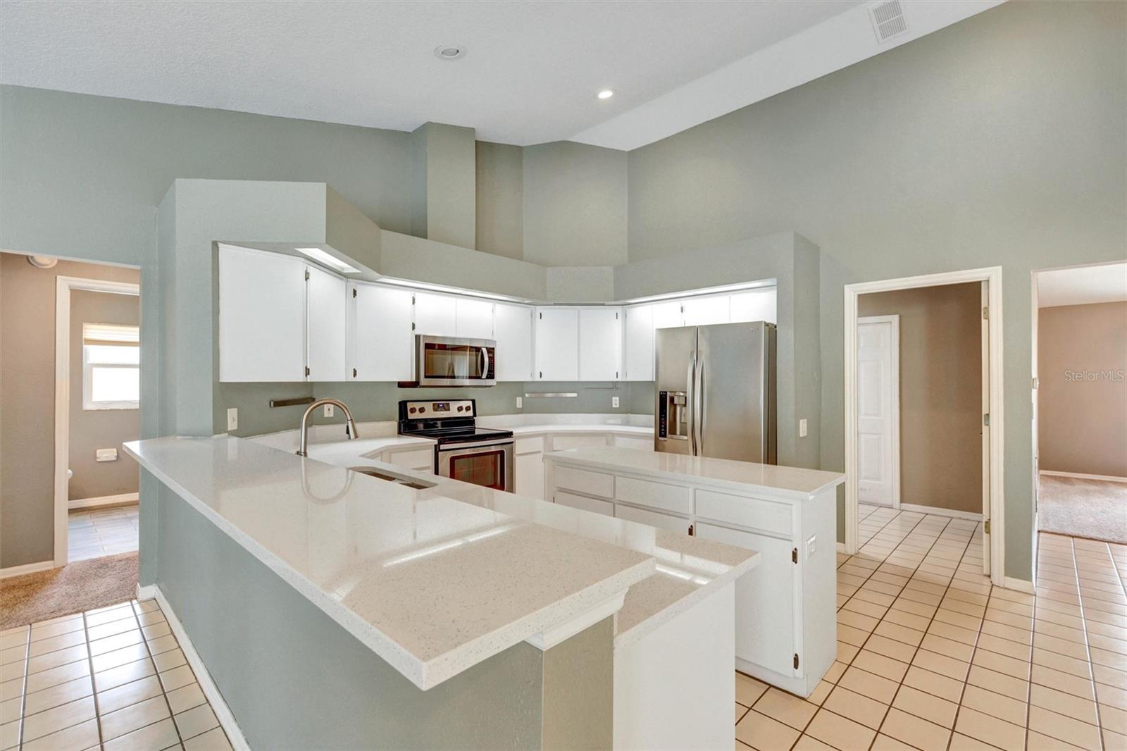 12229 LANGSHAW DR, THONOTOSASSA, FL, 33592