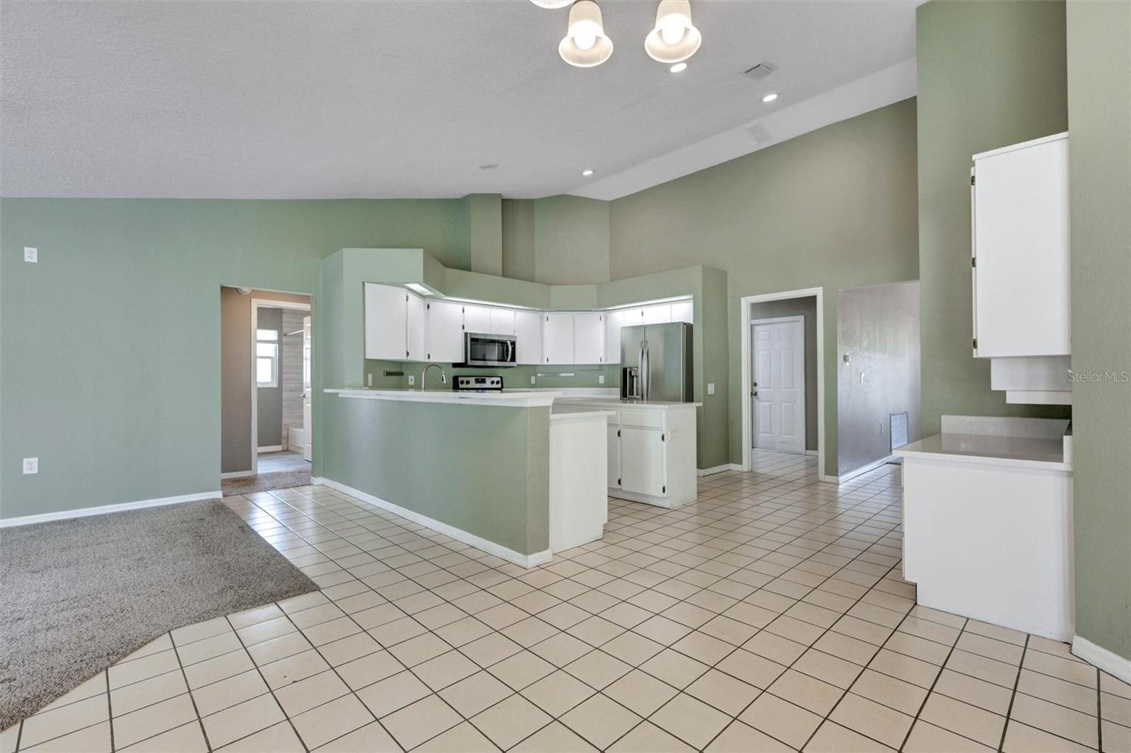 12229 LANGSHAW DR, THONOTOSASSA, FL, 33592