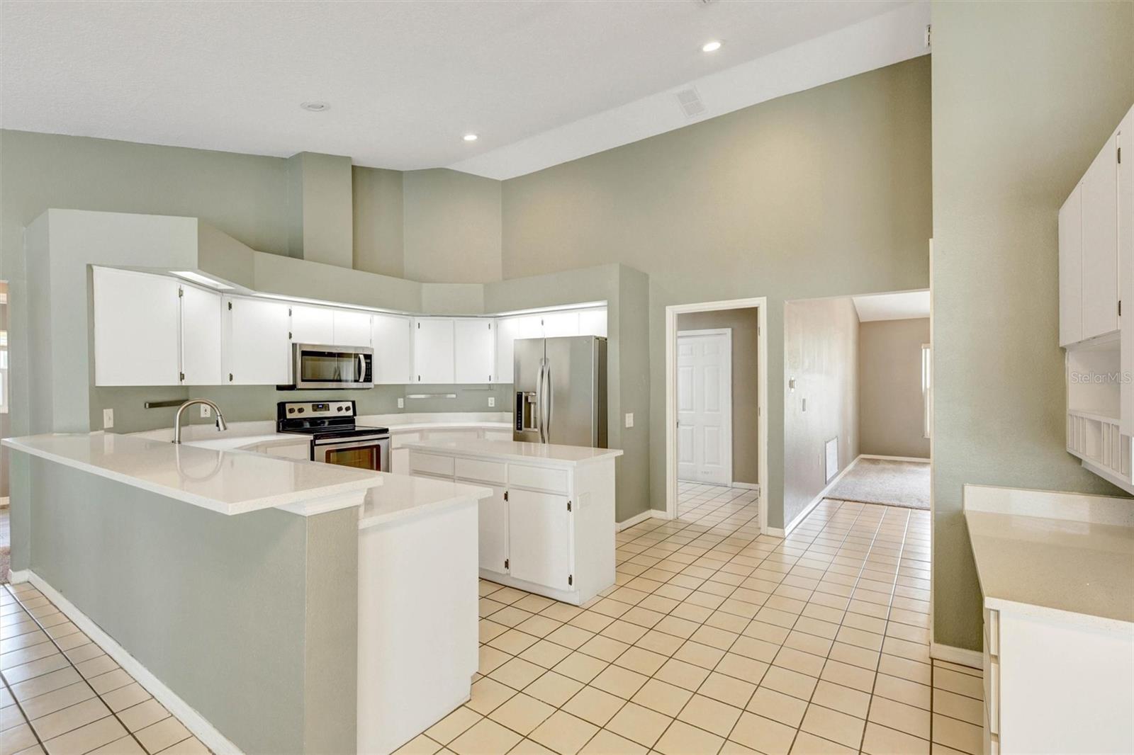 12229 LANGSHAW DR, THONOTOSASSA, FL, 33592