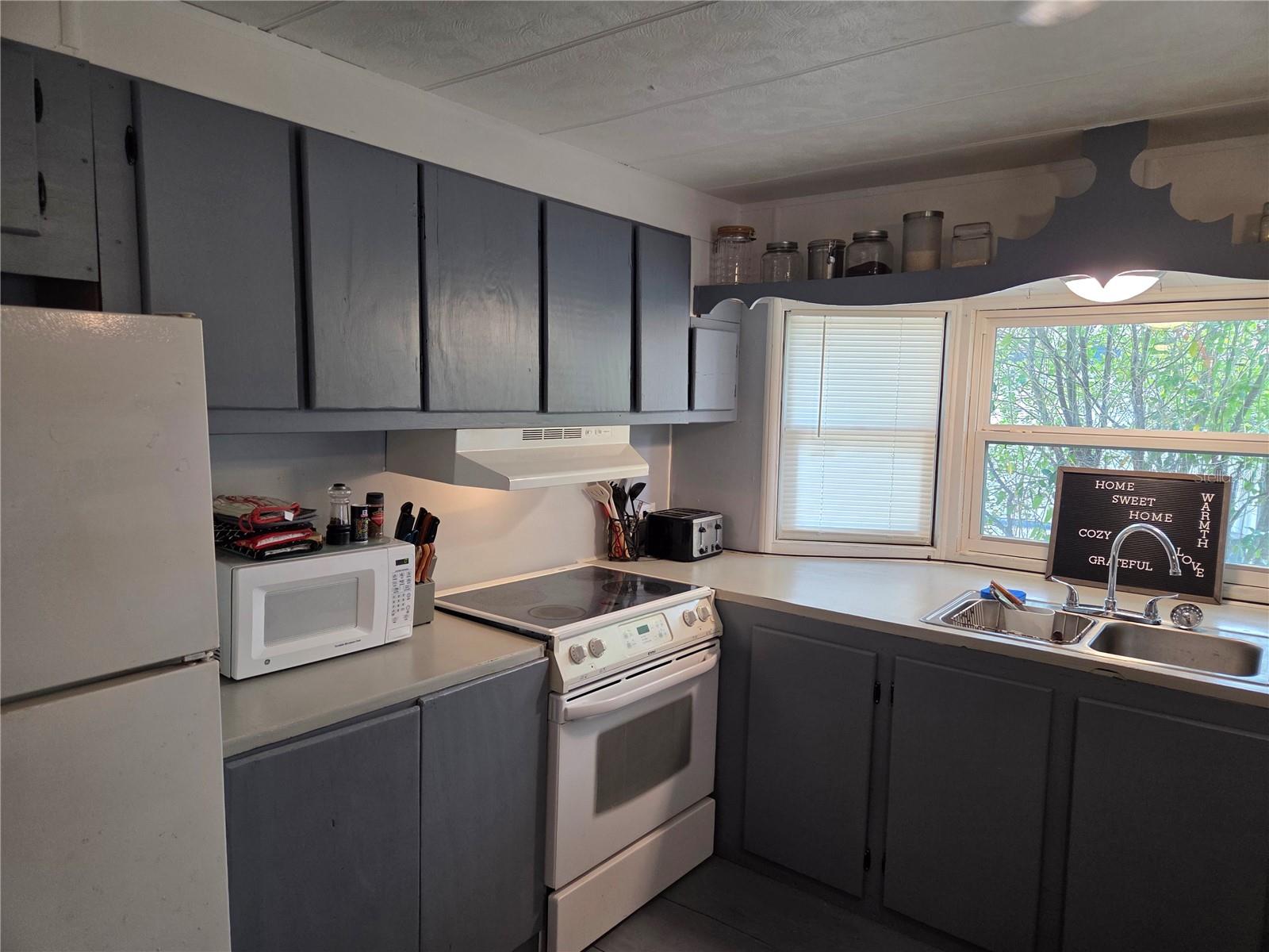 4497 NE 140TH CT, WILLISTON, FL, 32696