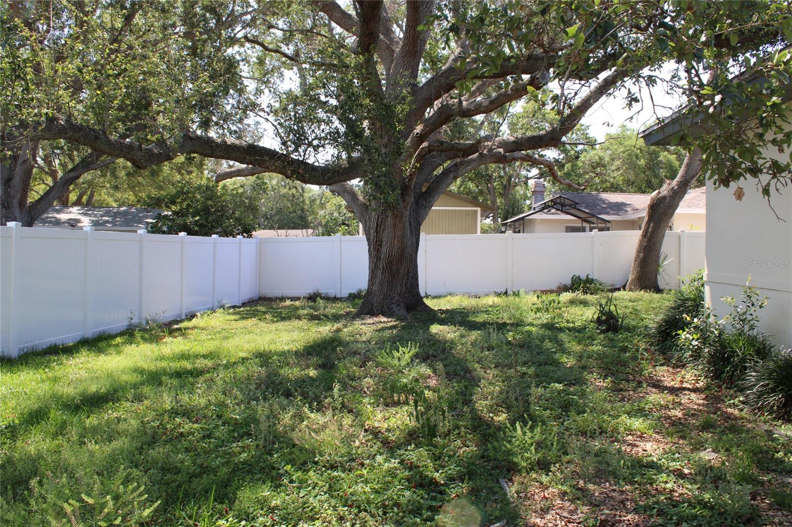 1523 S FREDRICA AVE, CLEARWATER, FL, 33756