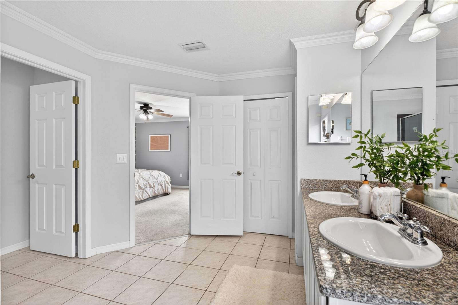 4845 BARCHETTA DR, LAND O LAKES, FL, 34639