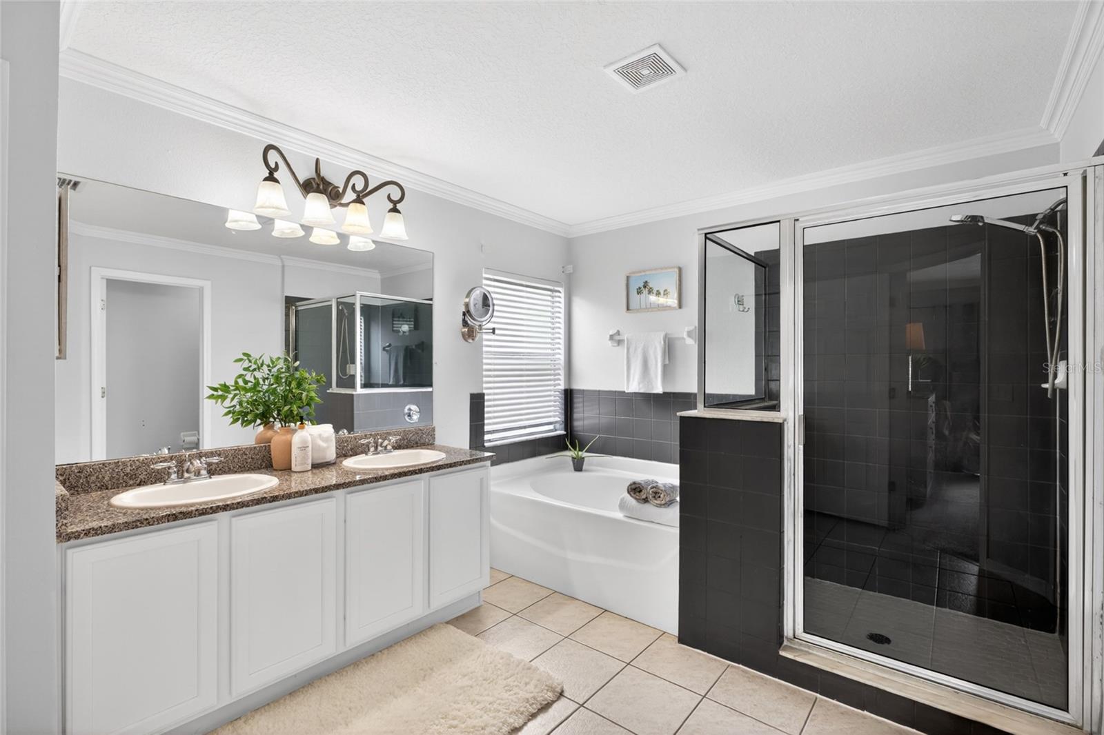 4845 BARCHETTA DR, LAND O LAKES, FL, 34639