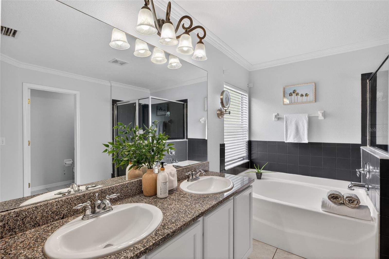 4845 BARCHETTA DR, LAND O LAKES, FL, 34639