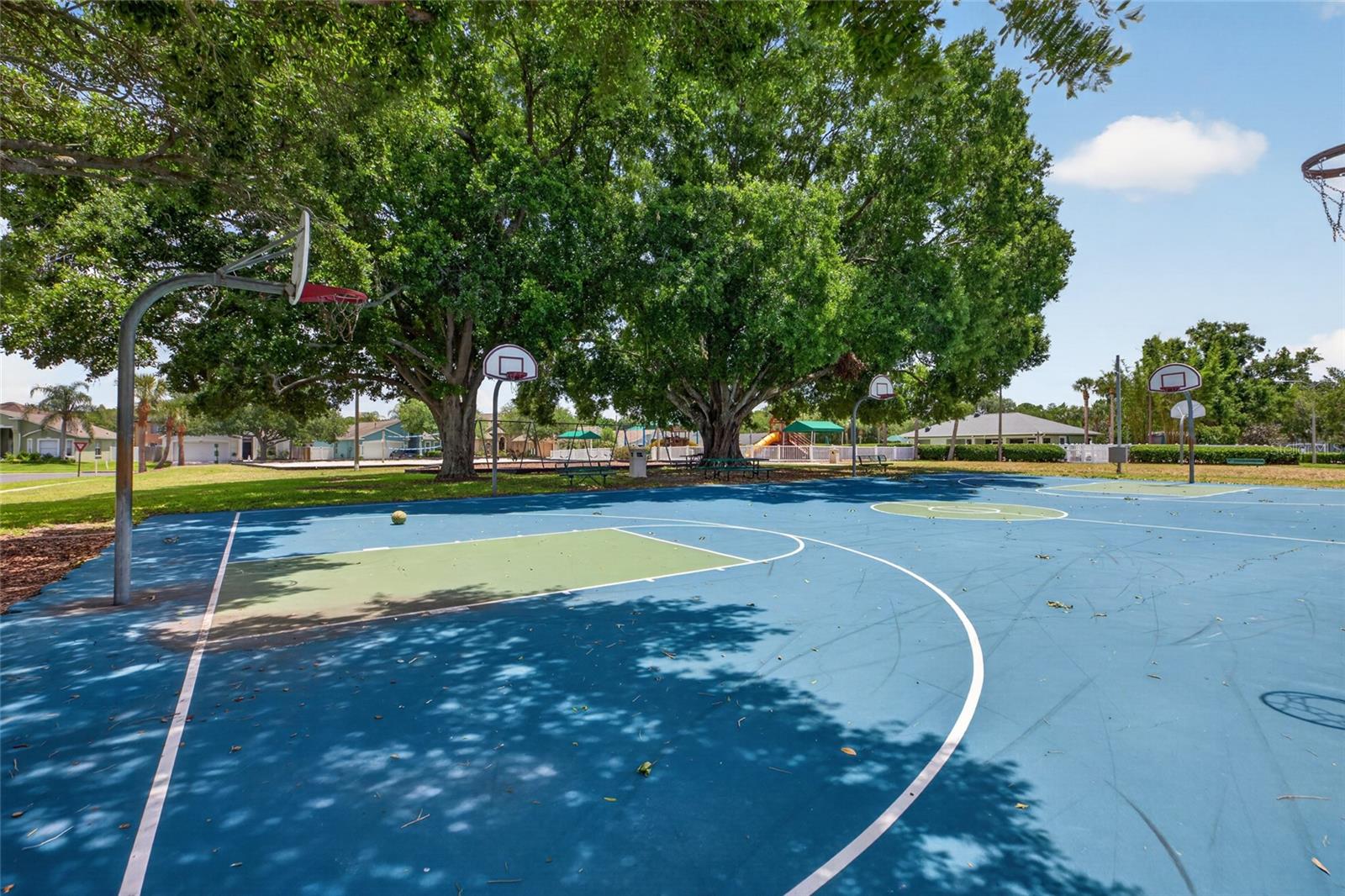 4845 BARCHETTA DR, LAND O LAKES, FL, 34639