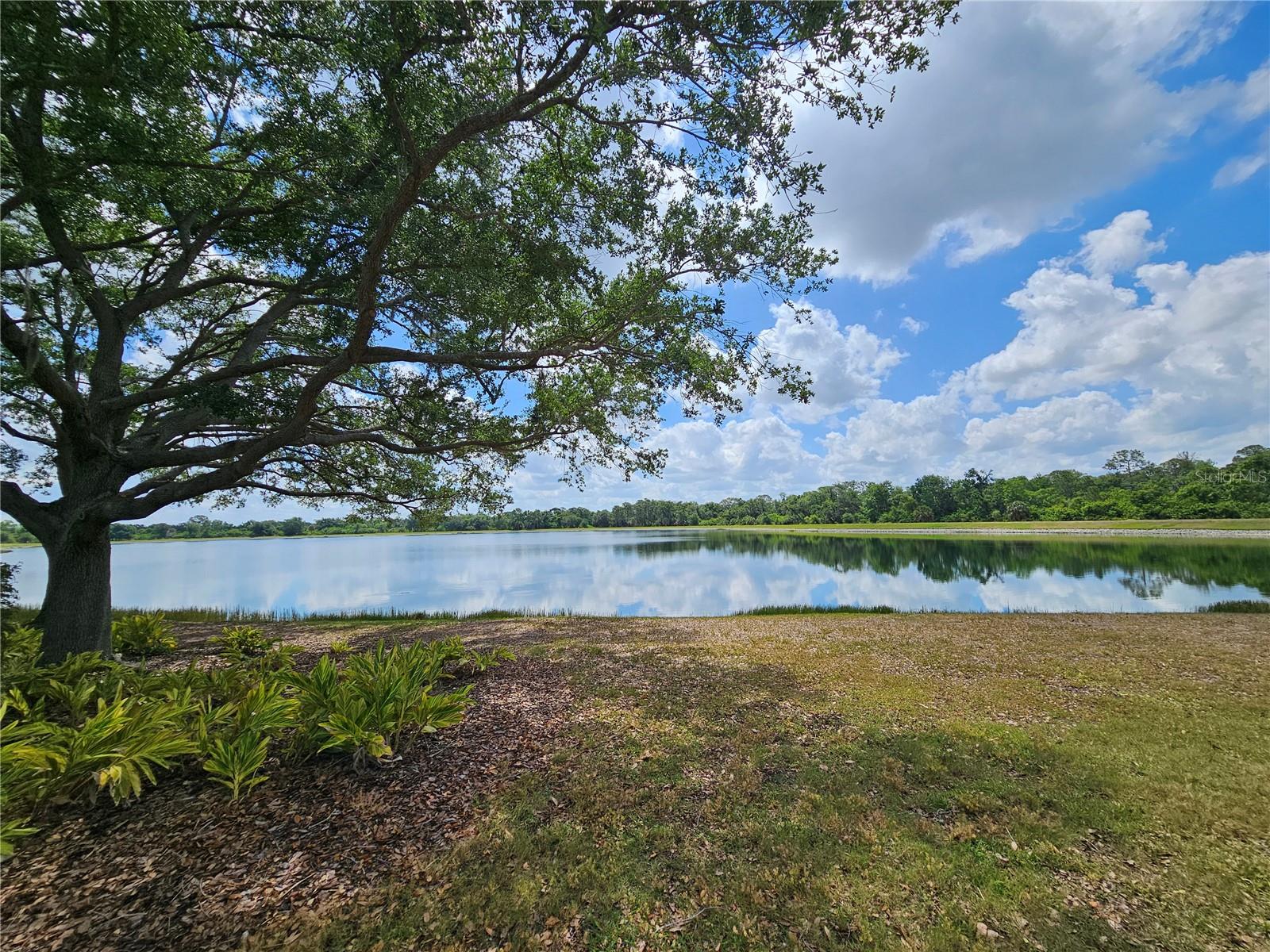 12250 HOLLYBUSH TER, LAKEWOOD RANCH, FL, 34202