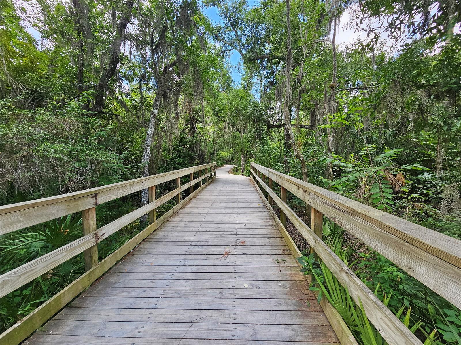 12250 HOLLYBUSH TER, LAKEWOOD RANCH, FL, 34202