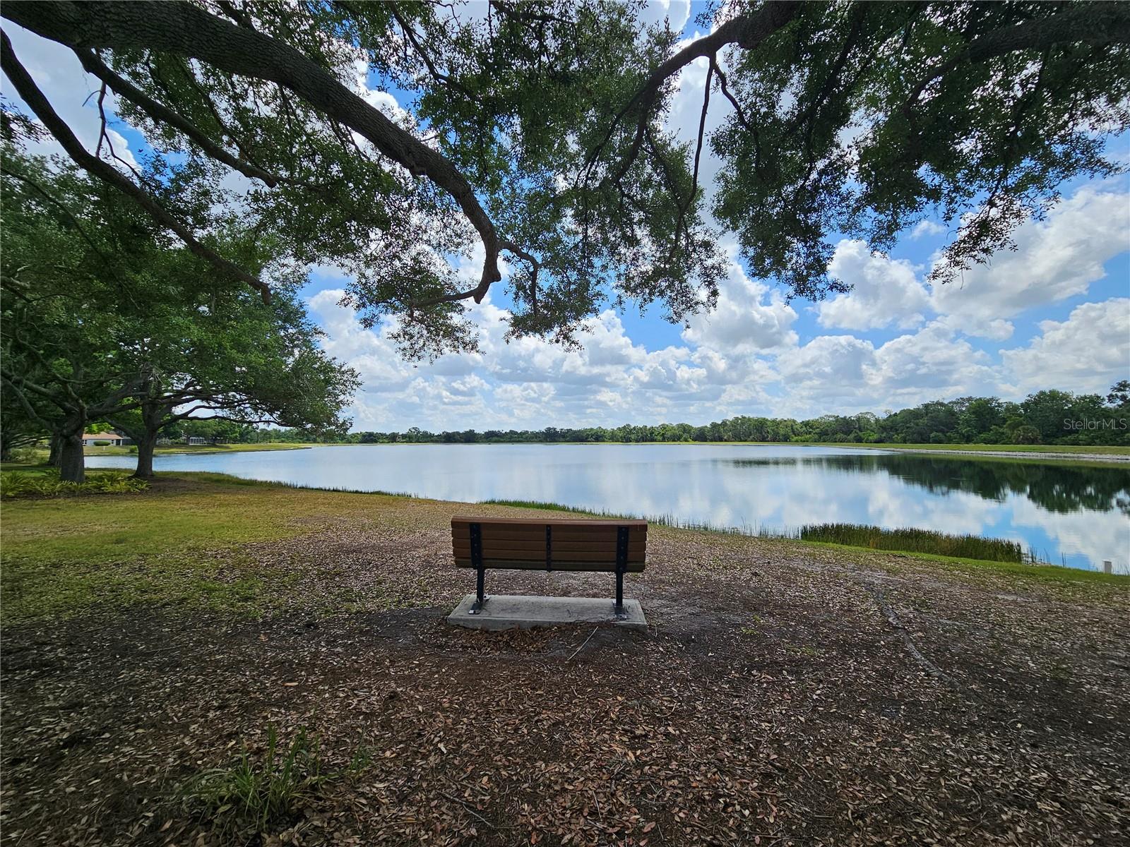 12250 HOLLYBUSH TER, LAKEWOOD RANCH, FL, 34202