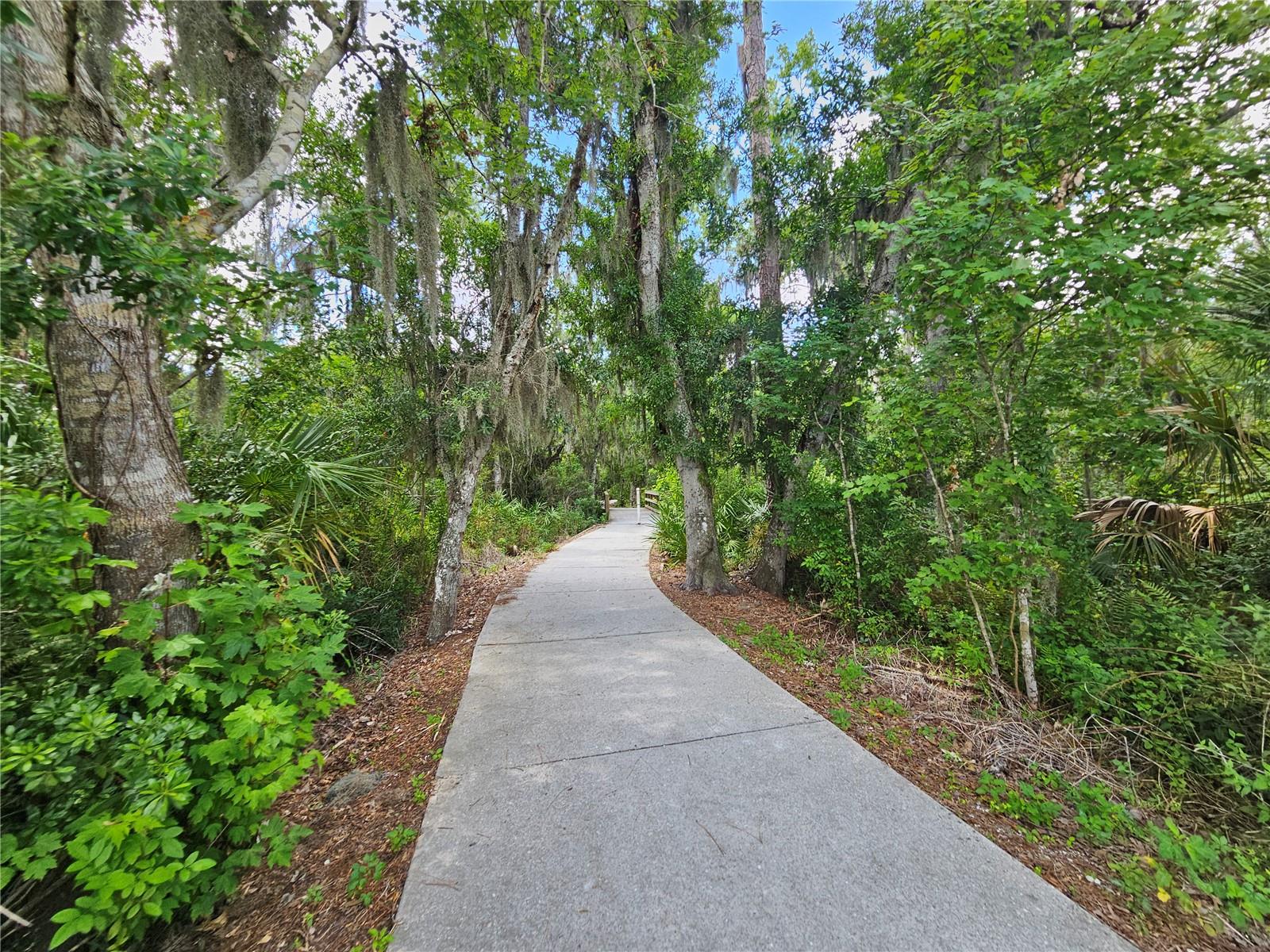 12250 HOLLYBUSH TER, LAKEWOOD RANCH, FL, 34202