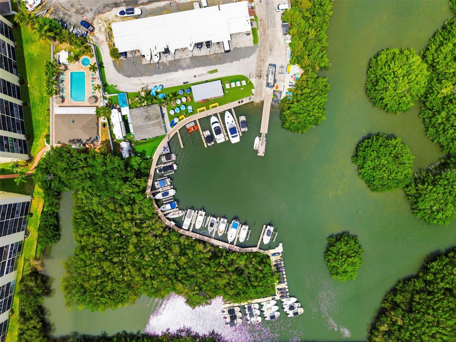 COVE CAY VILLAGE IV, CLEARWATER, FL, 33760
