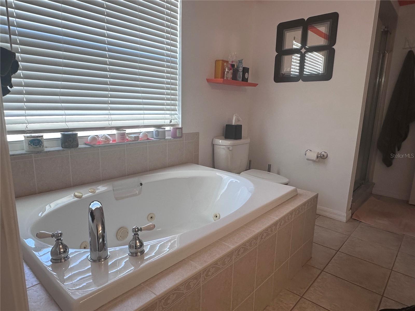 10632 LAKE VISTA DR, SEMINOLE, FL, 33772
