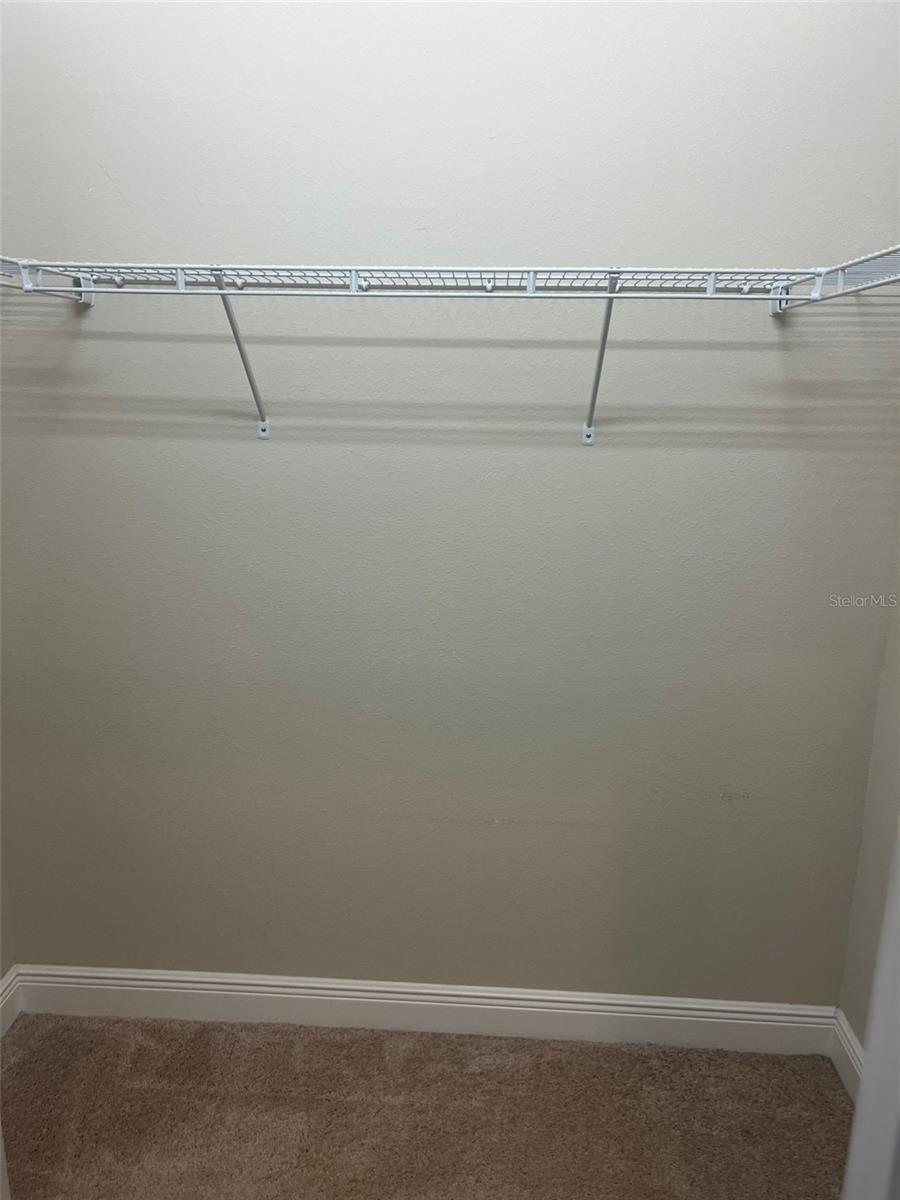 30447 CEASAR PARK DR, WESLEY CHAPEL, FL, 33543