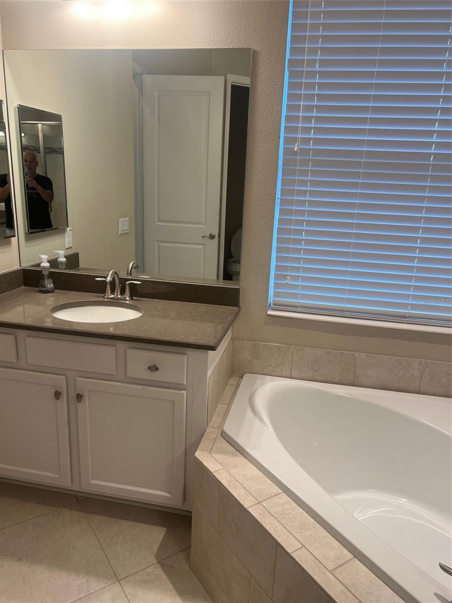 30447 CEASAR PARK DR, WESLEY CHAPEL, FL, 33543