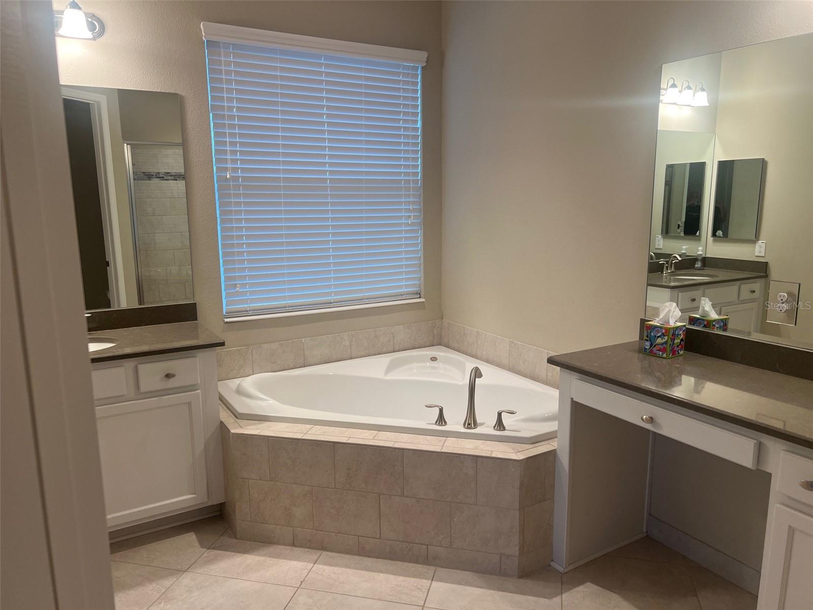 30447 CEASAR PARK DR, WESLEY CHAPEL, FL, 33543