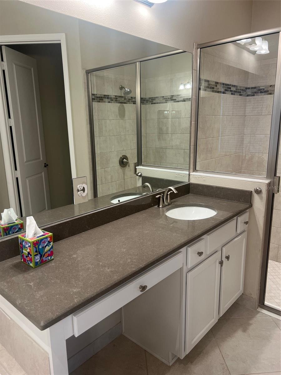 30447 CEASAR PARK DR, WESLEY CHAPEL, FL, 33543
