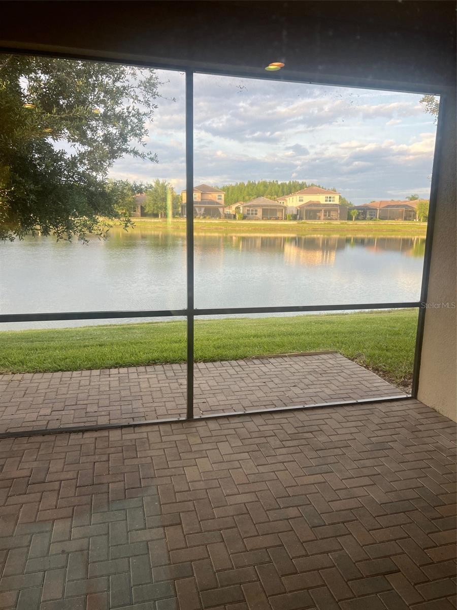 30447 CEASAR PARK DR, WESLEY CHAPEL, FL, 33543