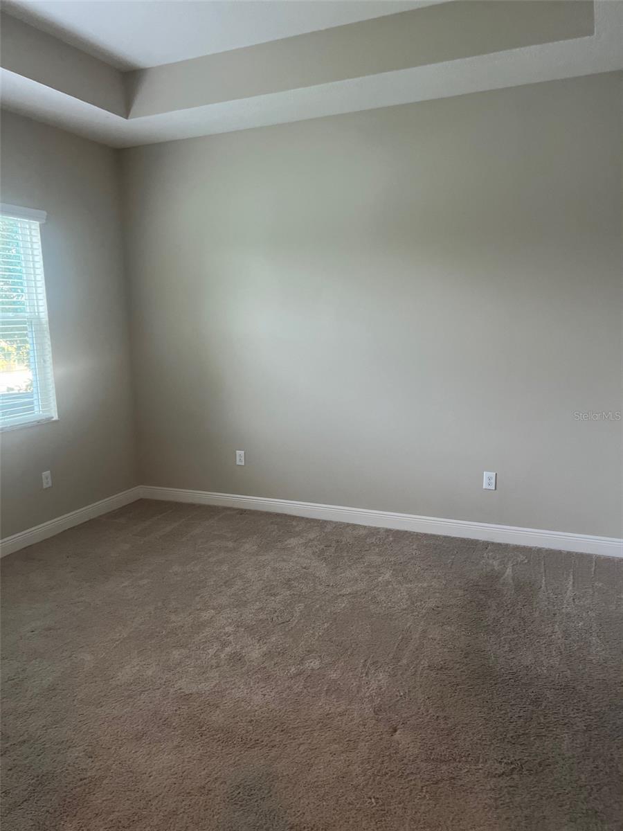30447 CEASAR PARK DR, WESLEY CHAPEL, FL, 33543
