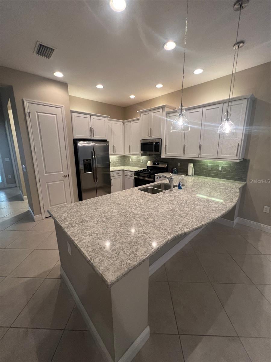 30447 CEASAR PARK DR, WESLEY CHAPEL, FL, 33543