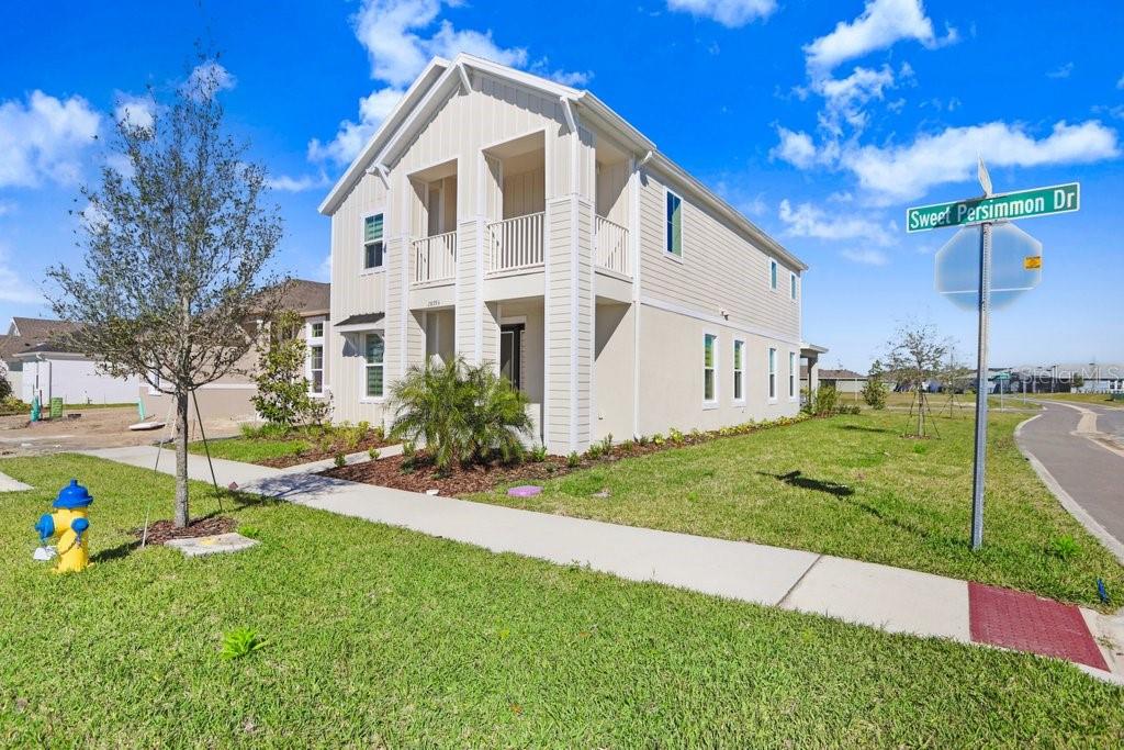28793 SWEET PERSIMMON DR, WESLEY CHAPEL, FL, 33543
