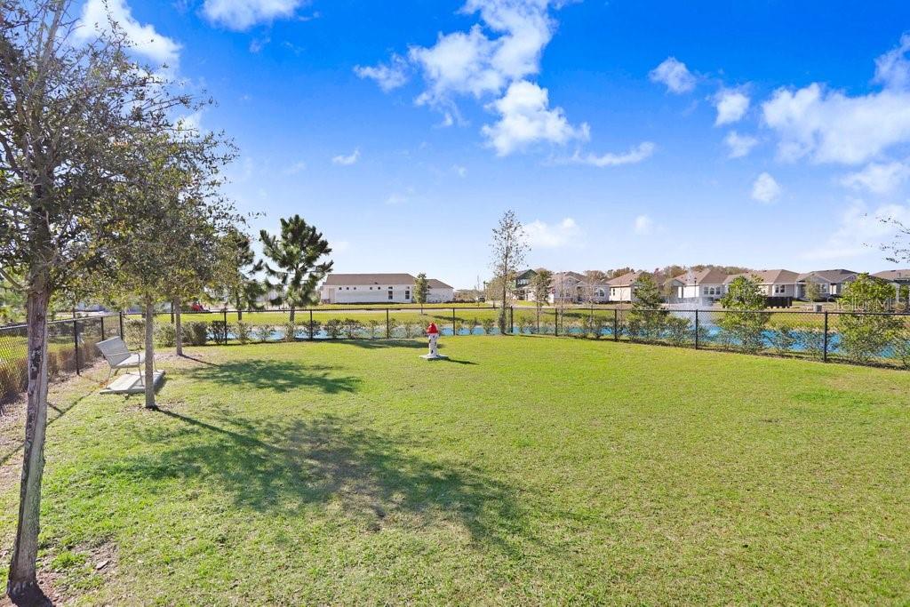 28793 SWEET PERSIMMON DR, WESLEY CHAPEL, FL, 33543