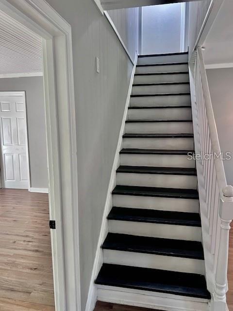 1635 PARTRIDGE BLVD, ZEPHYRHILLS, FL, 33540
