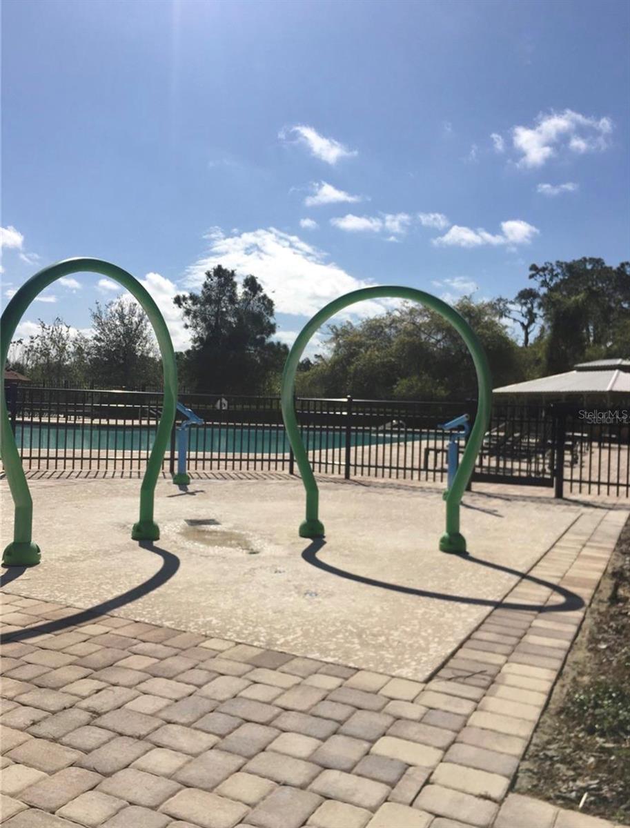 11807 VERMILLION AVE, WINDERMERE, FL, 34786