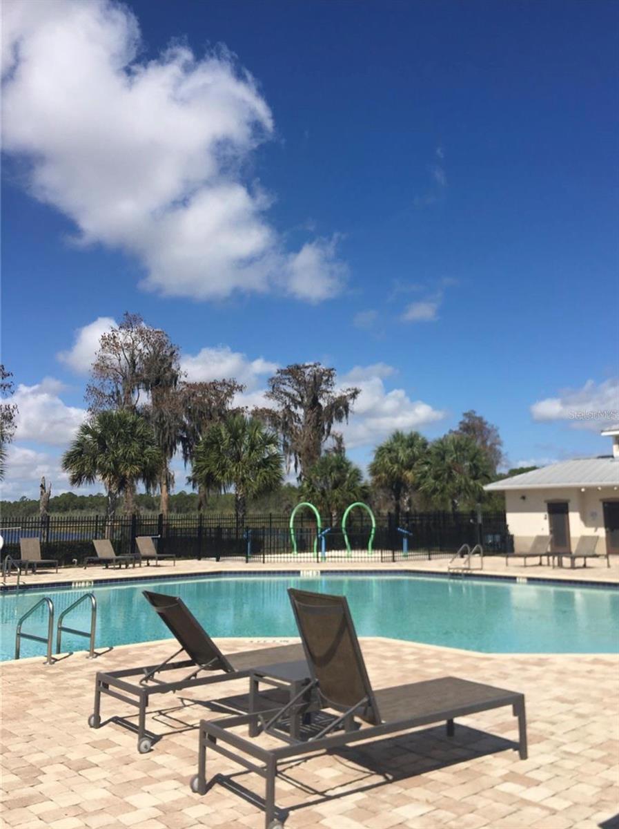 11807 VERMILLION AVE, WINDERMERE, FL, 34786
