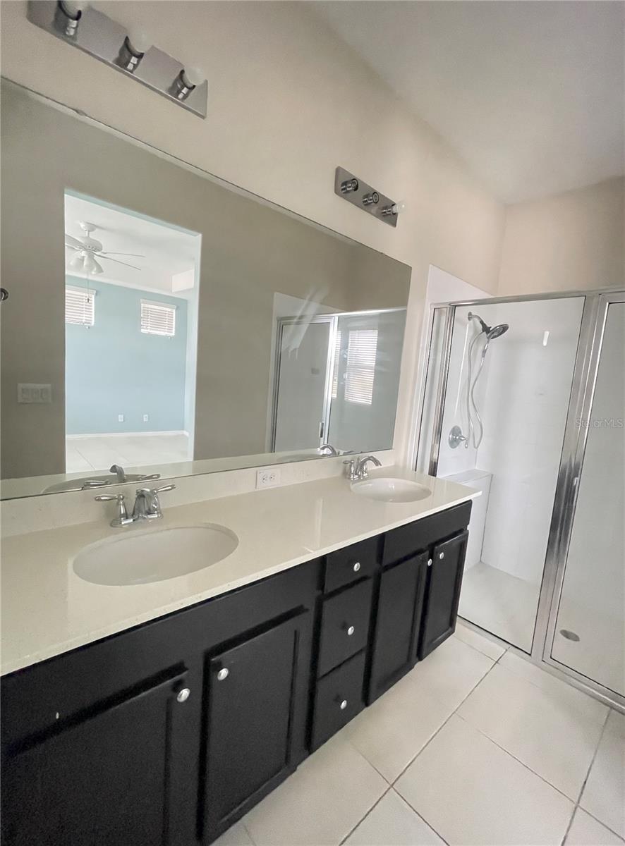 11807 VERMILLION AVE, WINDERMERE, FL, 34786