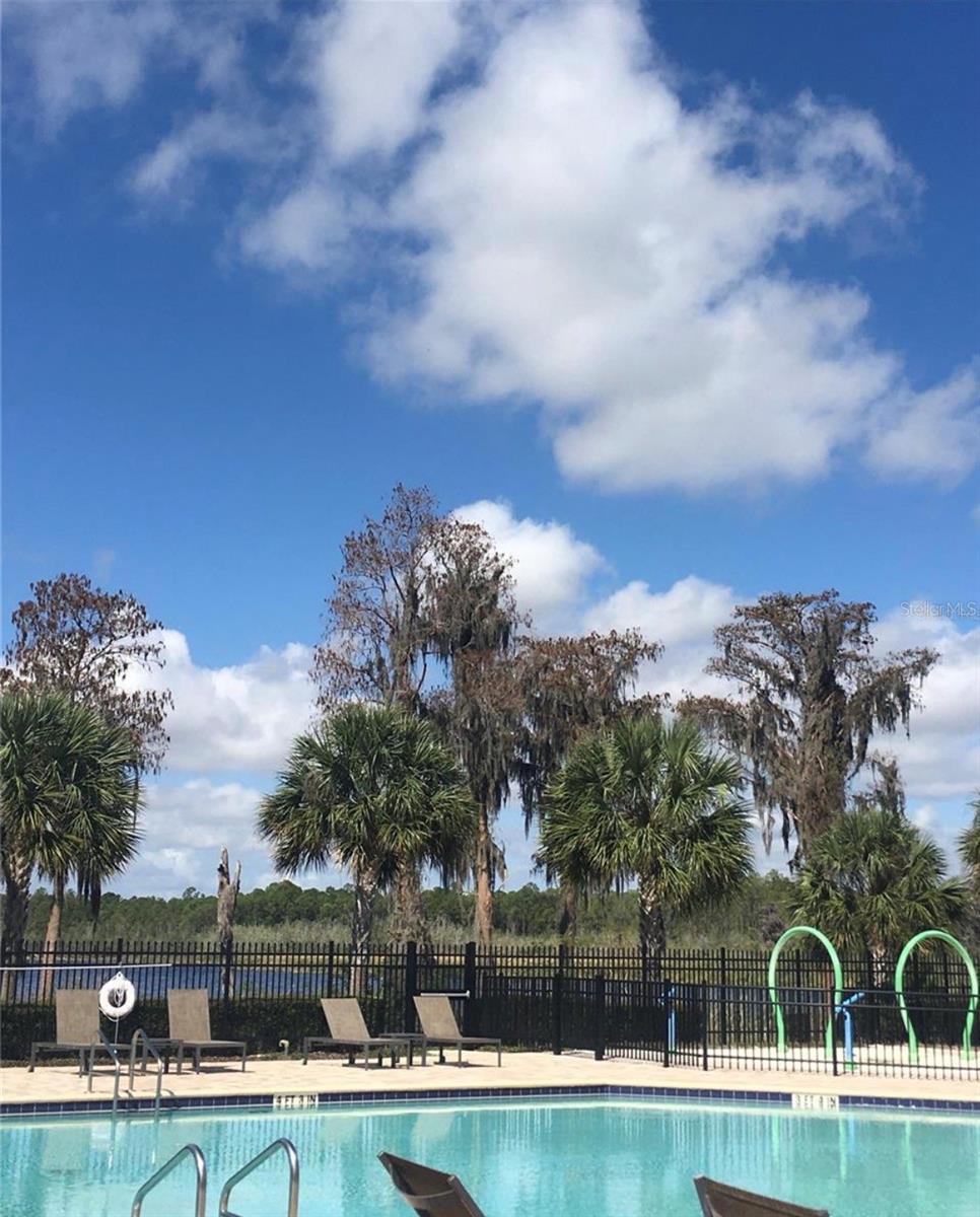 11807 VERMILLION AVE, WINDERMERE, FL, 34786