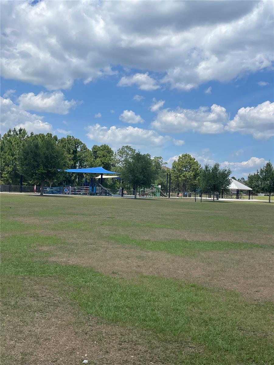 11807 VERMILLION AVE, WINDERMERE, FL, 34786