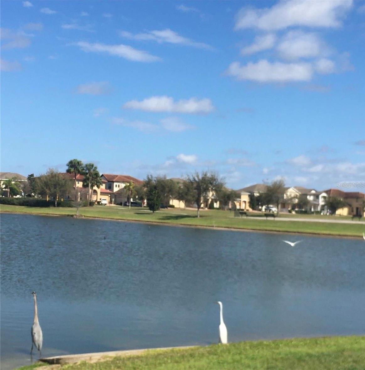 11807 VERMILLION AVE, WINDERMERE, FL, 34786