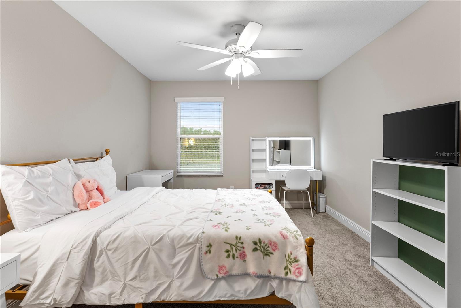 19361 EAGLE CREEK LN, TAMPA, FL, 33647