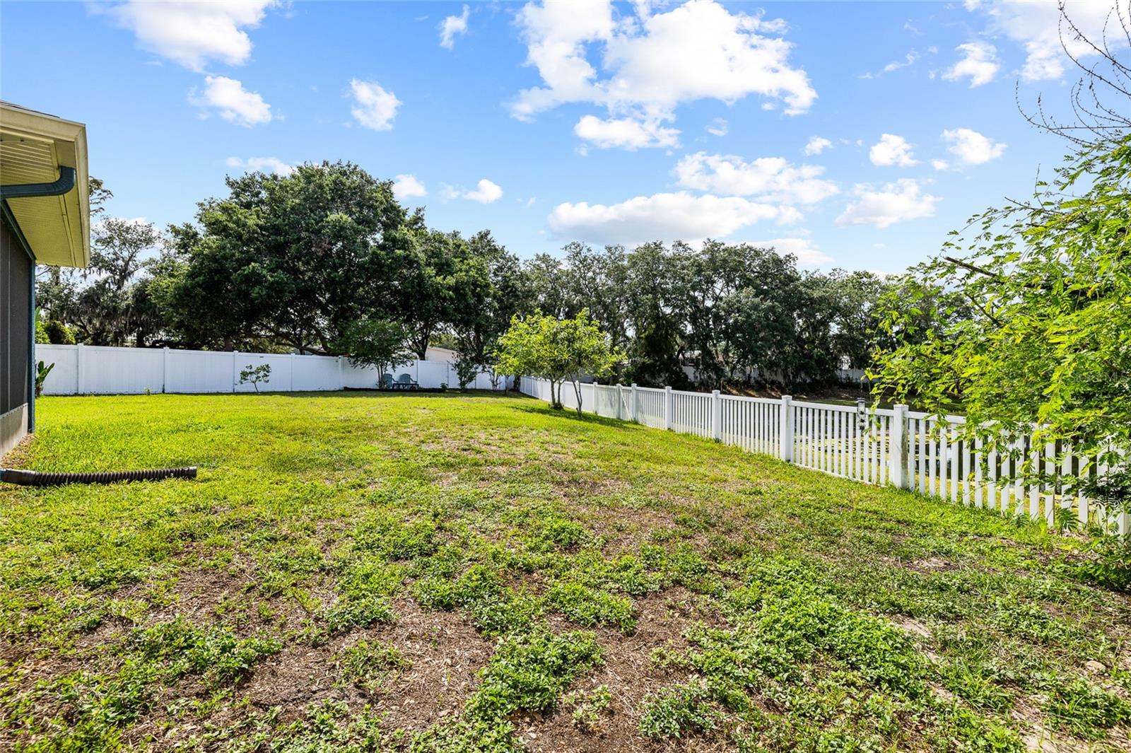 11114 GOLDENROD FERN DR, RIVERVIEW, FL, 33569