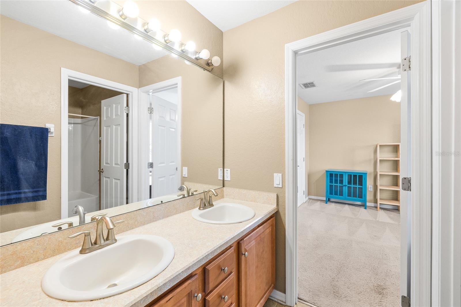 11114 GOLDENROD FERN DR, RIVERVIEW, FL, 33569