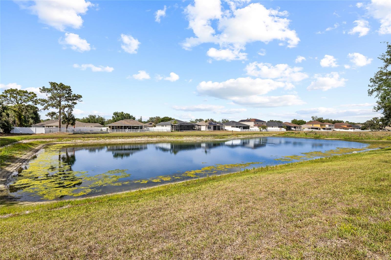 11114 GOLDENROD FERN DR, RIVERVIEW, FL, 33569
