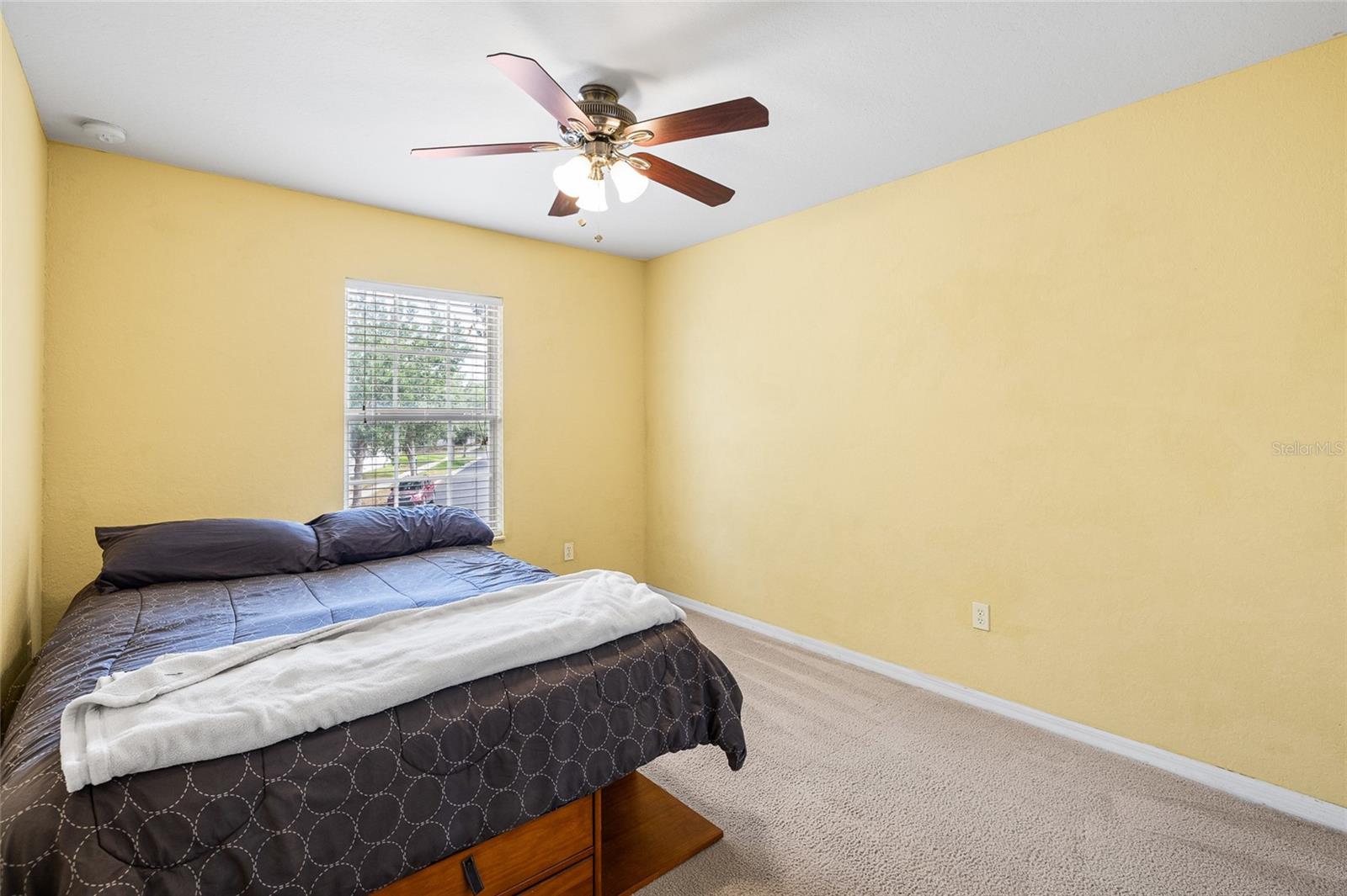 11114 GOLDENROD FERN DR, RIVERVIEW, FL, 33569