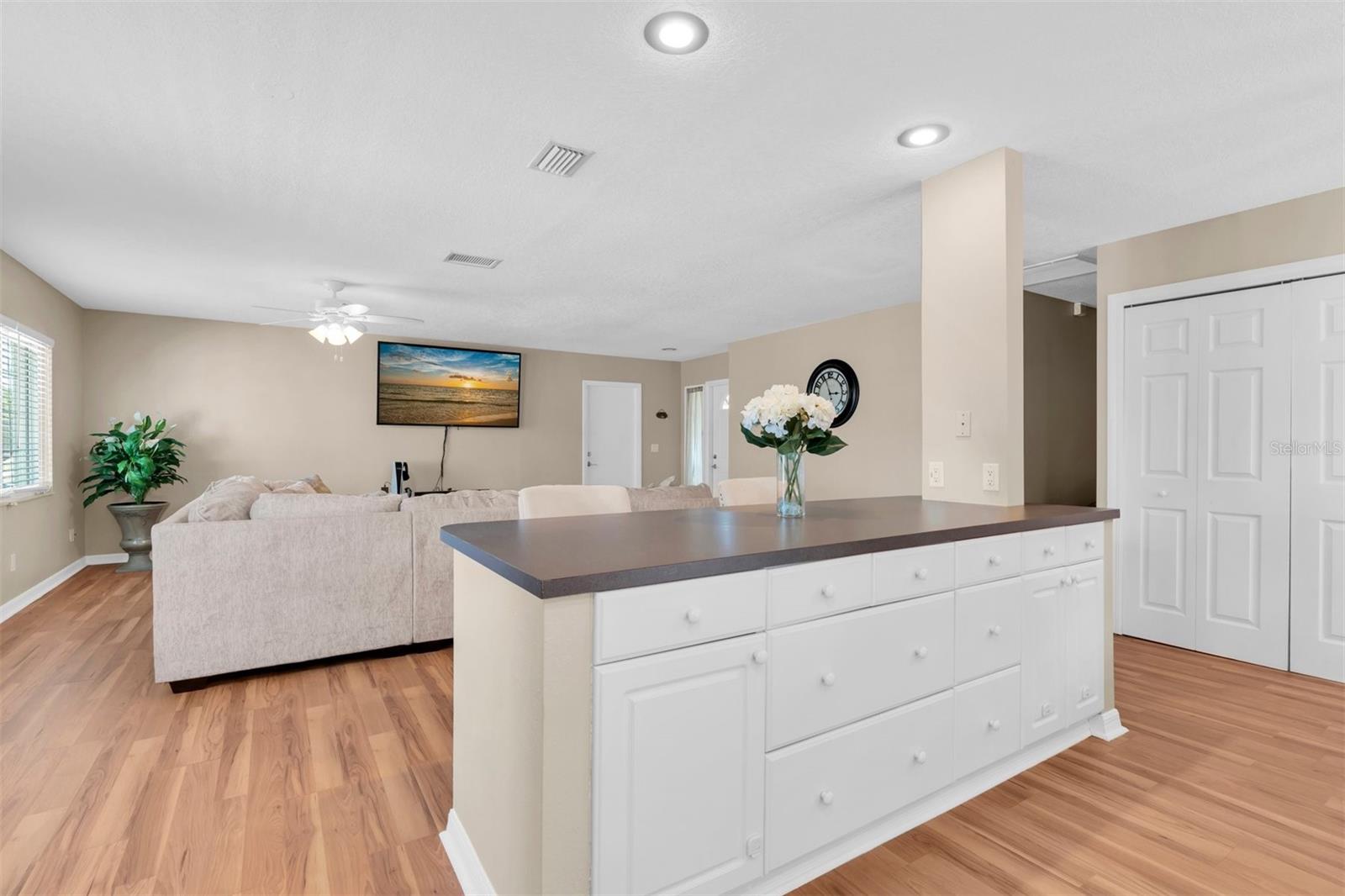 14006 CASCADE LN, TAMPA, FL, 33618