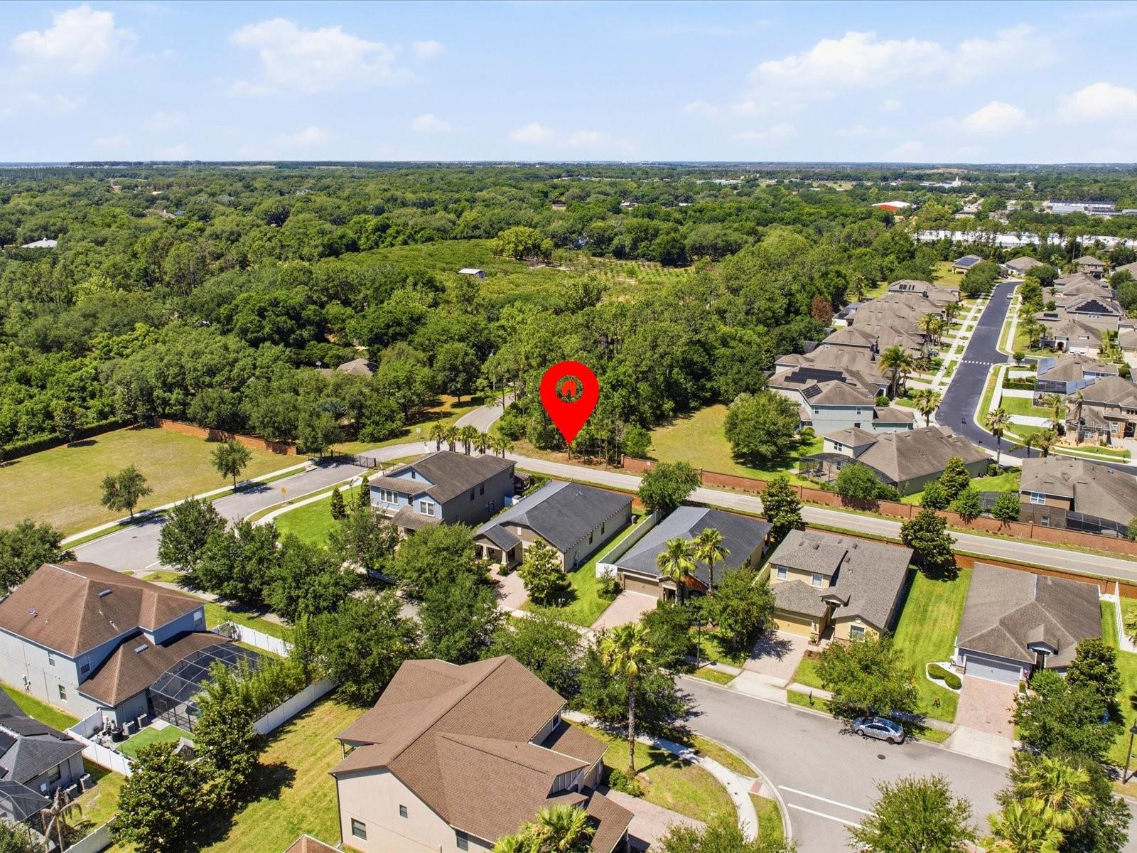 1968 PANTHEON DR, WINTER GARDEN, FL, 34787