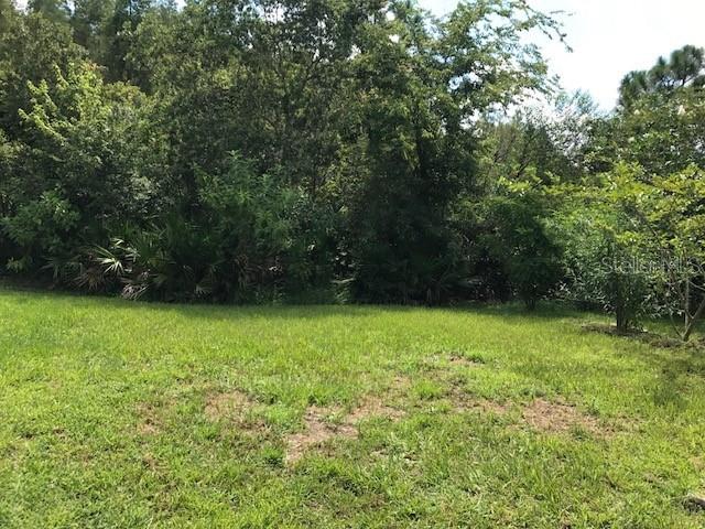 17911 TIMBER VIEW ST, TAMPA, FL, 33647