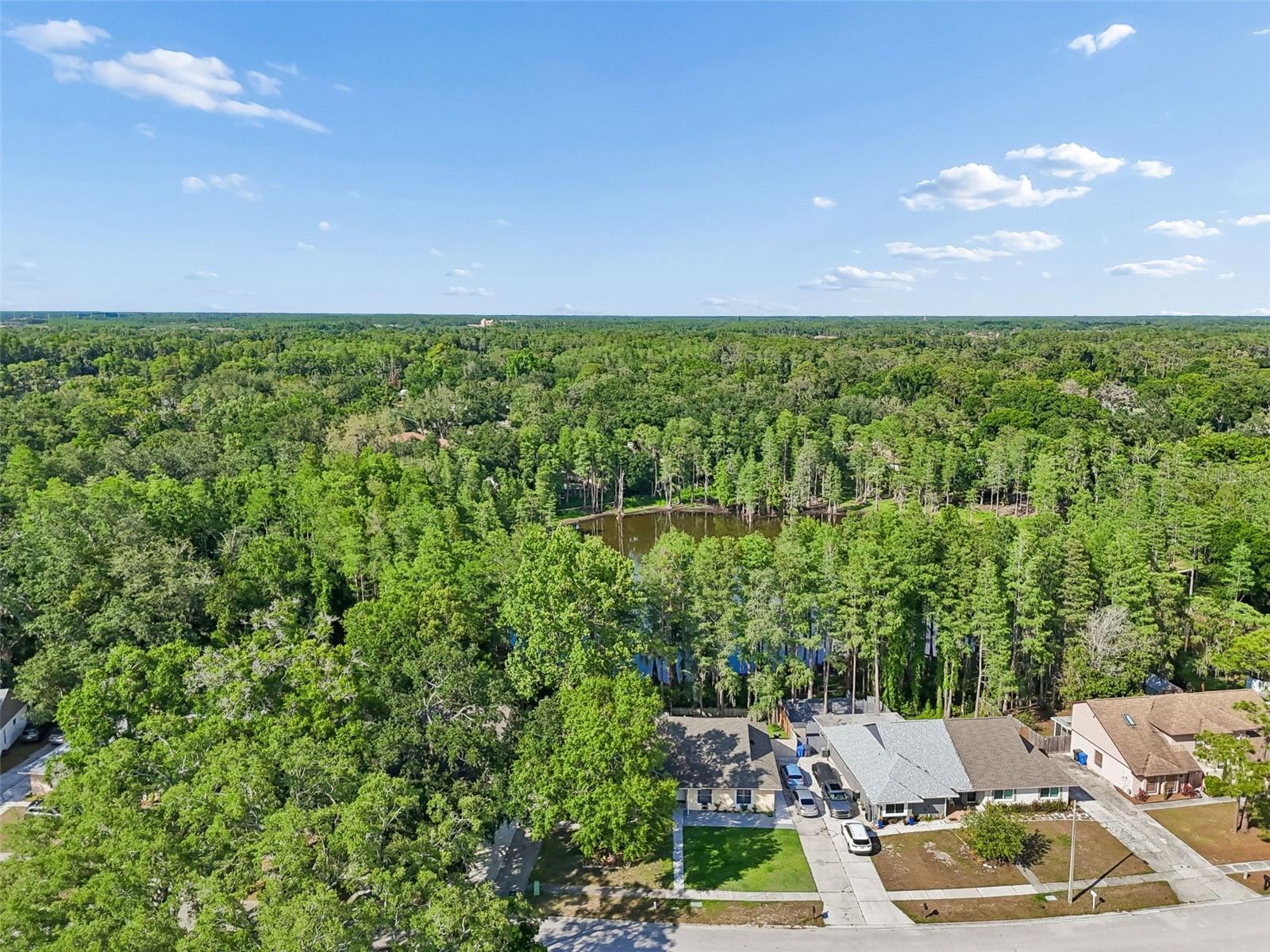 3410 LAUREL DALE DR, TAMPA, FL, 33618