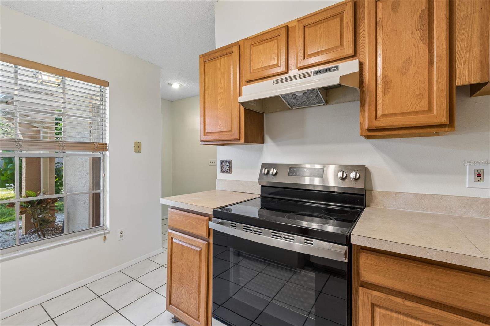 3410 LAUREL DALE DR, TAMPA, FL, 33618