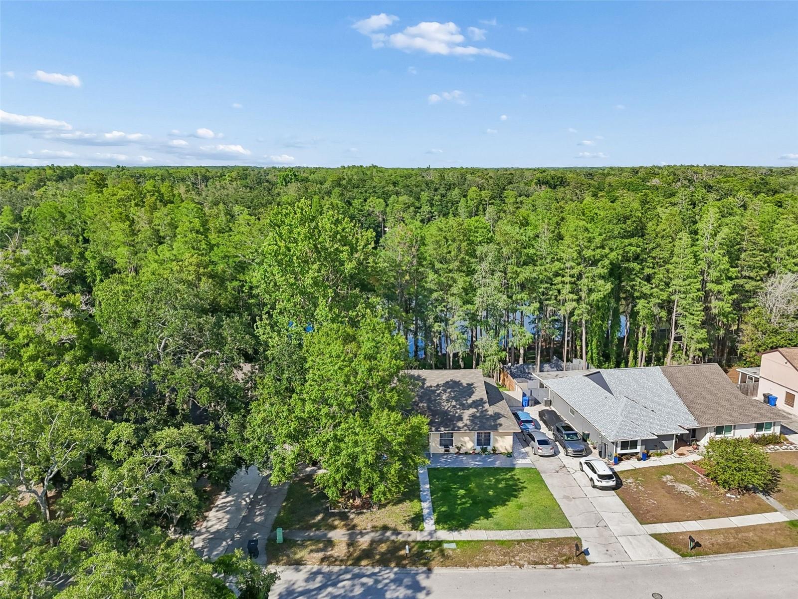 3410 LAUREL DALE DR, TAMPA, FL, 33618