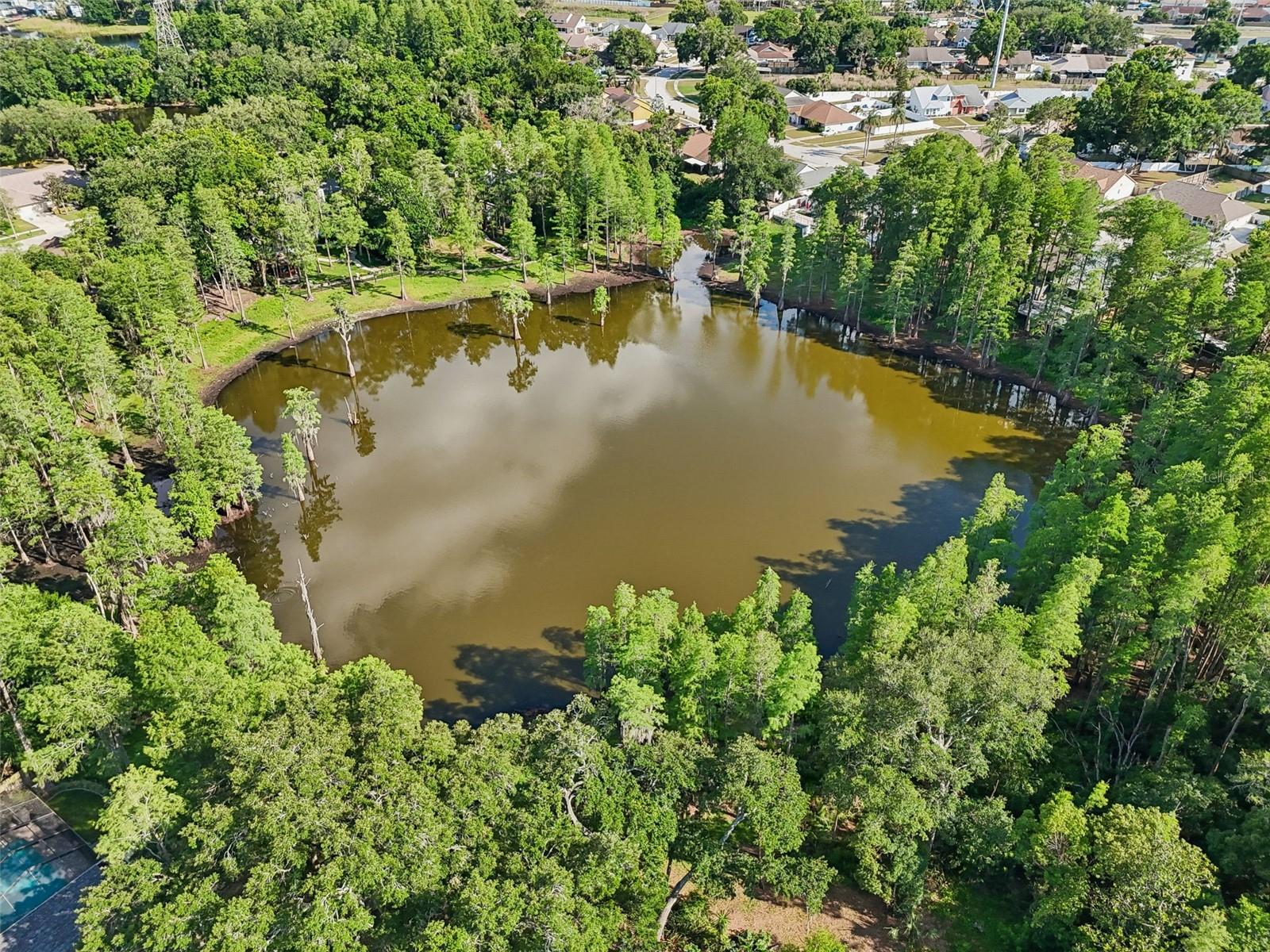 3410 LAUREL DALE DR, TAMPA, FL, 33618