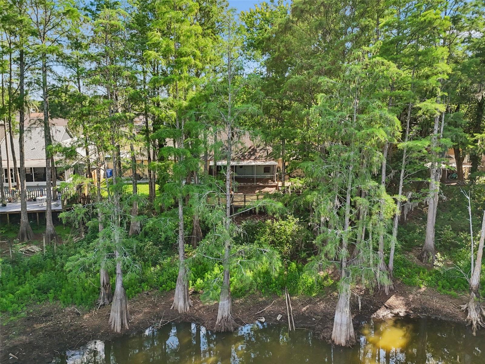 3410 LAUREL DALE DR, TAMPA, FL, 33618